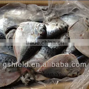 Whole Round Good Quality 150-200g/pcs Frozen Moonfish thumbnail-1