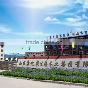 Shandong Kangyijia Ecological WPC Group Co., Ltd. company overview - view 2 thumbnail