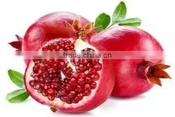 GOOD QUALITY Fresh Pomegranate Fresh Pomegranate thumbnail-2