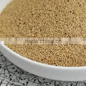 AMARANTH GRAIN INDIA OROGIN thumbnail-2