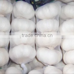 Garlic/Natural Garlic Import Export Business Opportunity thumbnail-1