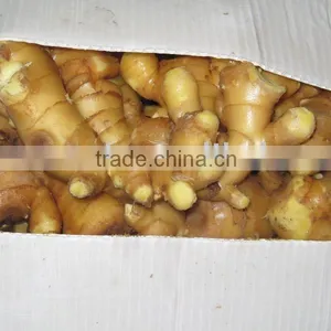 Ginger Material Pvc Carton thumbnail-1