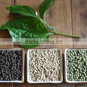 BLACK PEPPER thumbnail-1