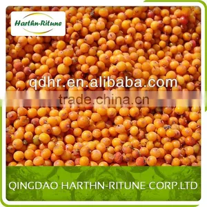 IQF Sea Buckthorn Fresh Frozen thumbnail-1