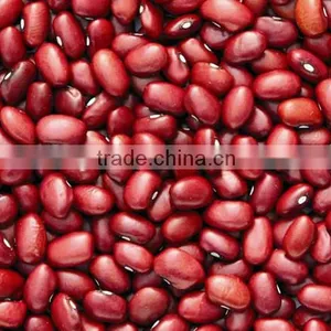Red Kidney Beans for Hot Sale and With Free Sample for Sale thumbnail-1