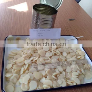 New Crop Canned Water Chestnuts Slice thumbnail-1