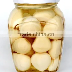 Good Quality Pickle Peeled Garlic in Brine thumbnail-2