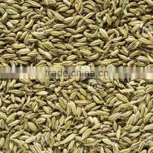 Dried Fennel Seed thumbnail-1