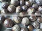 Nutmeg thumbnail-1