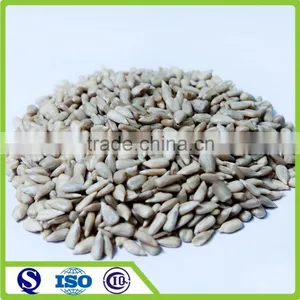 2016 Confection and Bakery Grade Sunflower Seed Kernel thumbnail-1
