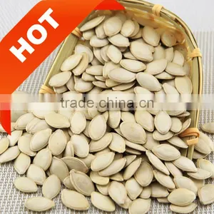 China White Pumpkin Seeds Price thumbnail-1