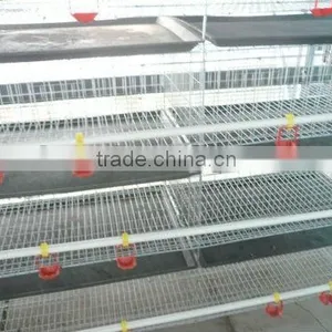 Chicken Poultry Farm Cage thumbnail-1