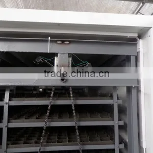 High Hatching Rate JF-12672 Chicken Poultry Farm Equipment thumbnail-5