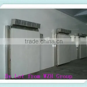 Cold Room for Storing Ice Cream thumbnail-1