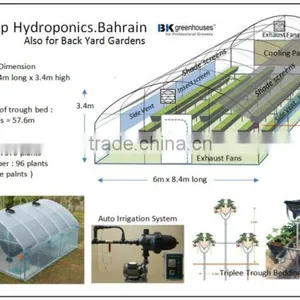 Tunnel Greenhouse thumbnail-4
