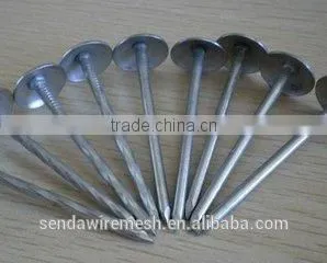 3" Umbrella Roofing Nails/construction Roofing Nails and Building Material Nails thumbnail-2