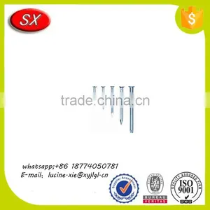 Customized Galvanized Hardened Steel/iron Concrete Nail With High Quality thumbnail-4
