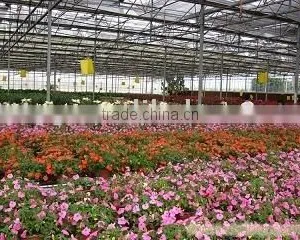 Hot Dipped Galvanized Pipes for Flower /Green House thumbnail-1