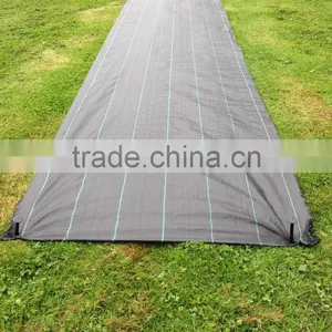 Breathable Woven Polypropylene Fabric in Roll thumbnail-5
