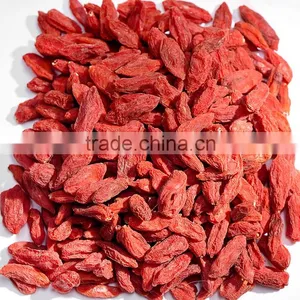 Organic Wolfberry (Gouji Berry) in Bulk or Triangle Teabags thumbnail-2