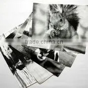 Photo Printed Placemats Thin Rib thumbnail-1