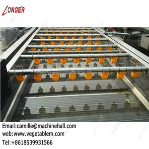Industrial Vegetable Washer|Fruit Washer Machine Price|Dates Processing Plant Manufacturers|Dates Washing Machinery thumbnail-5