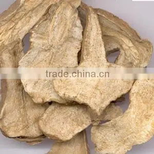 Largehead Atractylodes Rhizome Extract thumbnail-1