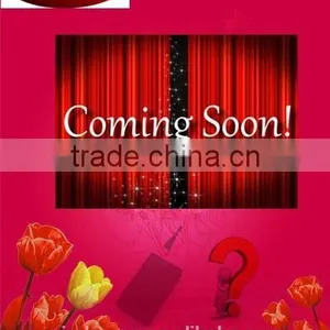 2.4G Digital Video Wireless Transmitter and Receiver thumbnail-1