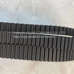 Timing Belt thumbnail-3