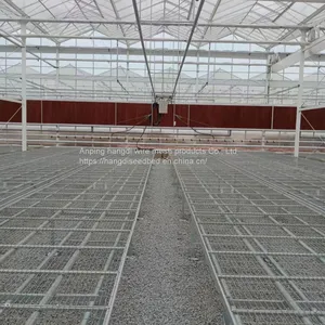 Greenhouse Flower Cultivation Vegetable Seedling Rice Seedling Seedling Bed Production Factory thumbnail-1