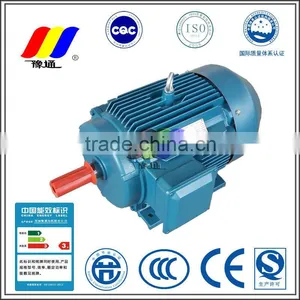 Y,Y2 Three Phase Phase Totally Enclosed Electric Motor thumbnail-1