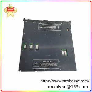 TRICONEX 4119A Enhanced Intelligent Module Supports a Variety of Extension Modules thumbnail-1