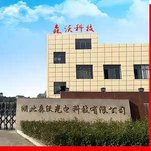 Hubei Senwo Optoelectronics Technology Co., Ltd. company overview - view 1 thumbnail
