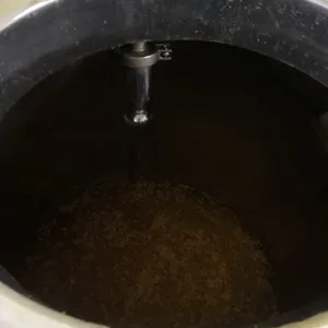 Kiwi Fruit Jam Processing Plant thumbnail-6