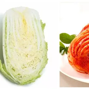 Hot Sell Kimchi Pickles Making Machine thumbnail-5