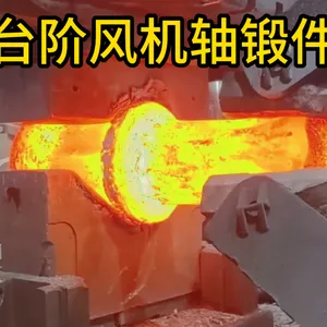 Step-Type Fan Shaft Forgings | Forged Components | Factory Customization thumbnail-1