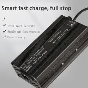 48V LiFePO4 charger (2)