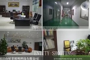 Shenzhen Gluck Lighting Technology Co., Ltd. company overview - view 2 thumbnail