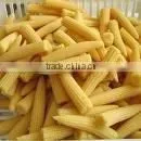 Canned Marinated Baby Corn thumbnail-1
