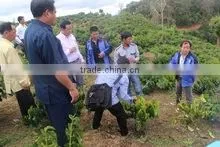 Yunnan Changshengda Coffee Co., Ltd. company overview - view 3 thumbnail