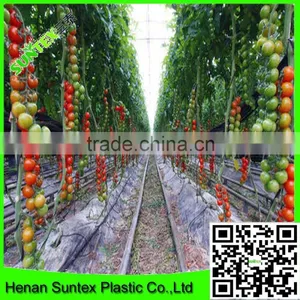 High Quality Vegetable Cover Used Perforated Mulch Film/plastic Lldpe Mulch Film thumbnail-6