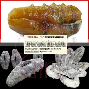 Dried Sea Cucumber, White Teat Fish, Holothuria Fuscogilva thumbnail-1