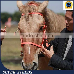 Horse Halters and Horse Reins be Made of Synthetic Coated Webbing thumbnail-1