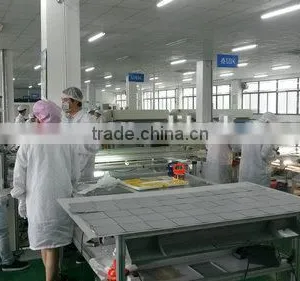 Risun 250W Poly Solar Panel With TUV CE CEC ISO Full Certifications thumbnail-5