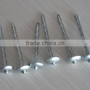 Steel Cap Nail,steel Nails Manufacturers thumbnail-1