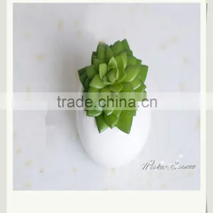 Natural Look Artificial Succulents Plant Mini Bonsai for Table Decor thumbnail-2