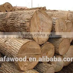 Quality Russian BIRCH LOGS- Grade A Fresh Cuts Quality Choice thumbnail-3