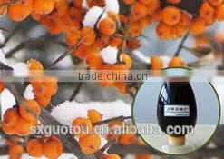 Best Price of 100% Nature Green Seabuckthorn Juice Concentrate thumbnail-2