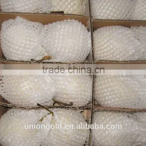 Light Yellow Fresh ya Pear Bulk Purchase thumbnail-3