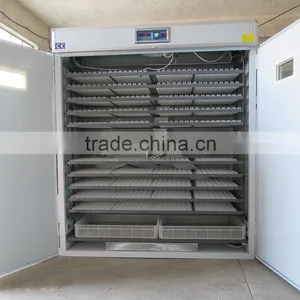 Strongly Recommended Commercial Used Poultry Incubator for Sale thumbnail-4